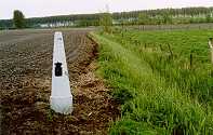 gp351 in 2000