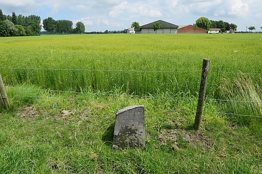 IMG_3754.jpg IMG_3754.jpg