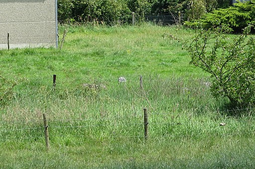 IMG_3766.jpg IMG_3766.jpg