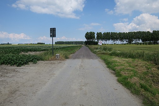 IMG_3784.jpg IMG_3784.jpg