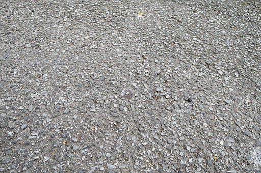 IMG_3951.jpg IMG_3951.jpg