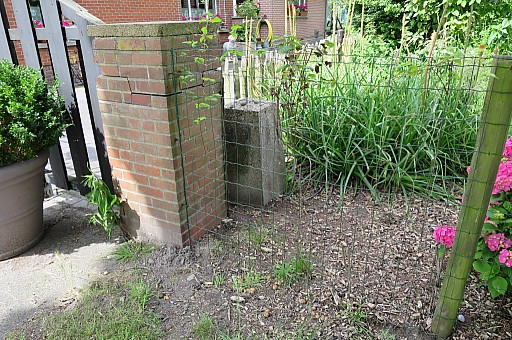 IMG_3987.jpg IMG_3987.jpg