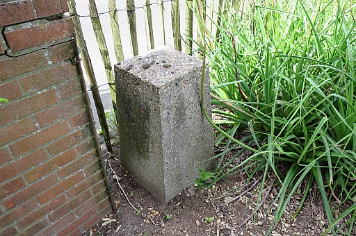IMG_3988.jpg IMG_3988.jpg