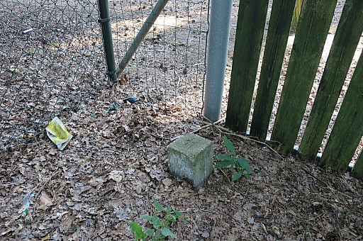 IMG_4425.jpg IMG_4425.jpg