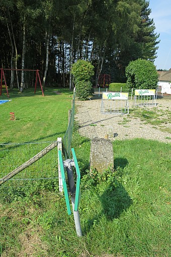 IMG_4437.jpg IMG_4437.jpg