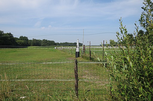IMG_4478.jpg IMG_4478.jpg