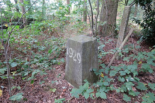 IMG_4955.jpg IMG_4955.jpg