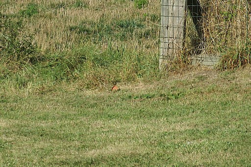 IMG_5167.jpg IMG_5167.jpg