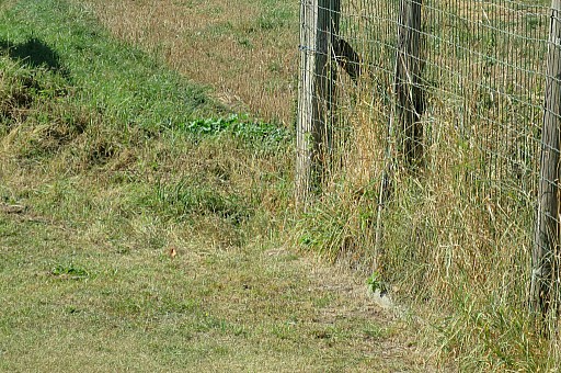 IMG_5188.jpg IMG_5188.jpg