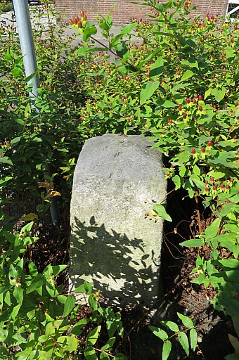 IMG_5249.jpg IMG_5249.jpg