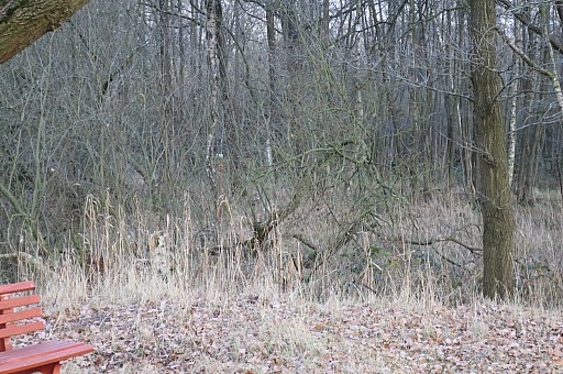 IMG_6085.jpg IMG_6085.jpg
