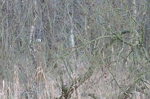 IMG_6086.jpg IMG_6086.jpg