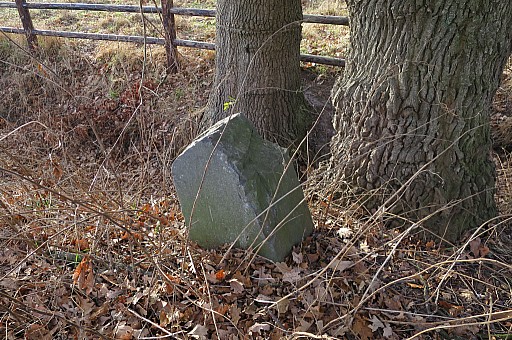 IMG_6125.jpg IMG_6125.jpg