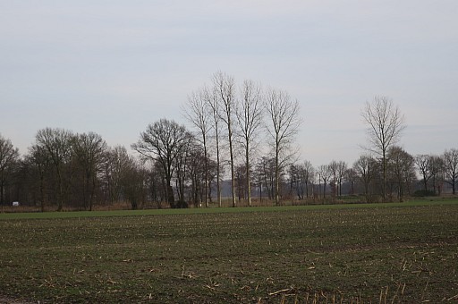 IMG_6447.jpg IMG_6447.jpg