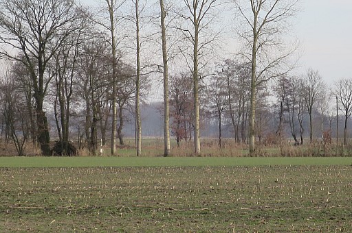 IMG_6448.jpg IMG_6448.jpg