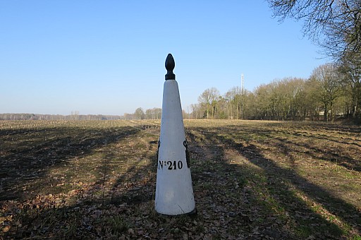 IMG_6612.jpg IMG_6612.jpg