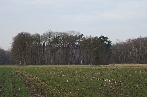 IMG_6653.jpg IMG_6653.jpg