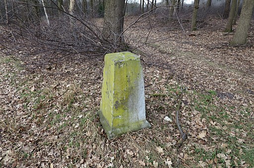 IMG_6658.jpg IMG_6658.jpg