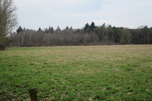 IMG_6663.jpg IMG_6663.jpg