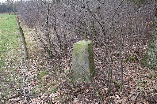 IMG_6666.jpg IMG_6666.jpg