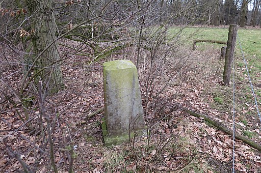 IMG_6667.jpg IMG_6667.jpg