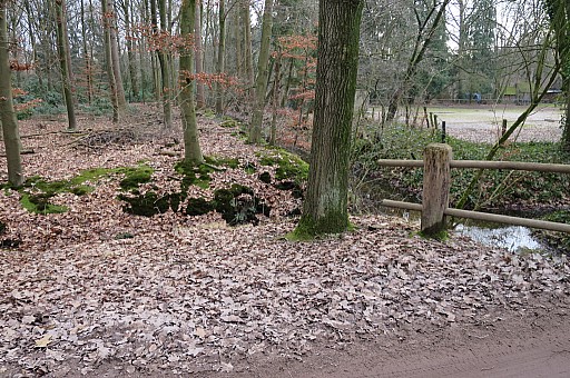 IMG_6678.jpg IMG_6678.jpg