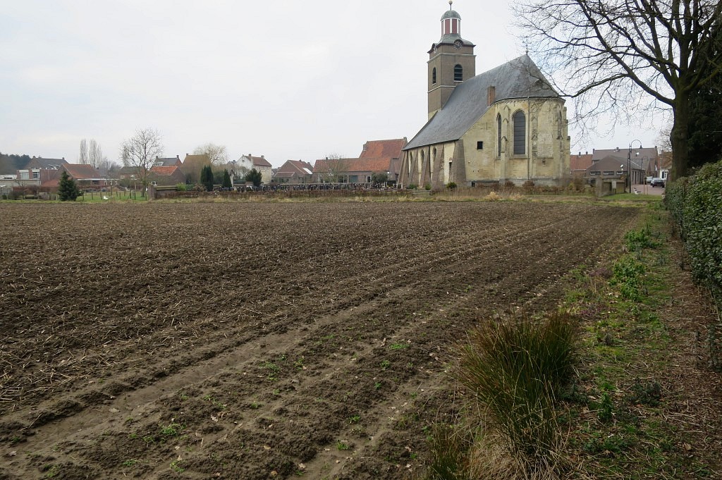 IMG_6750.jpg