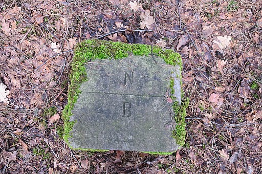 IMG_6991-gp259-tssenstn-A.jpg IMG_6991-gp259-tssenstn-A.jpg