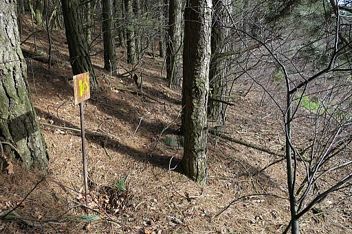IMG_7044-gp259-tssenstn-18.jpg IMG_7044-gp259-tssenstn-18.jpg