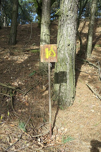 IMG_7045-gp259-tssenstn-18.jpg IMG_7045-gp259-tssenstn-18.jpg