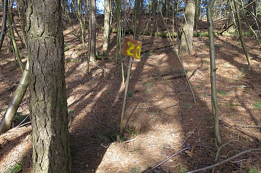 IMG_7051-gp259-tssenstn-20.jpg IMG_7051-gp259-tssenstn-20.jpg