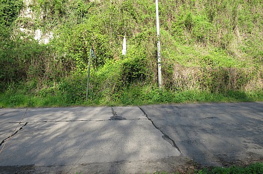 IMG_7490.jpg IMG_7490.jpg
