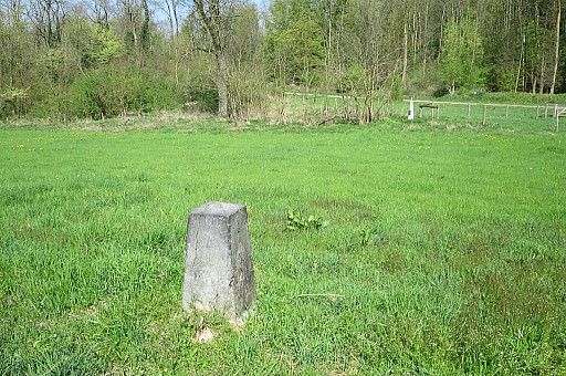 IMG_7556.jpg IMG_7556.jpg