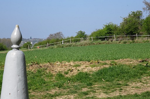IMG_7612.jpg IMG_7612.jpg