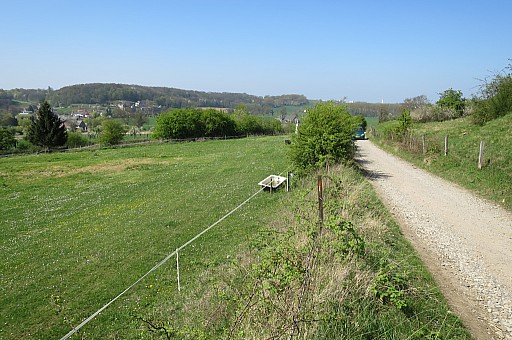 IMG_7613.jpg IMG_7613.jpg
