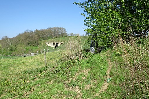 IMG_7638.jpg IMG_7638.jpg