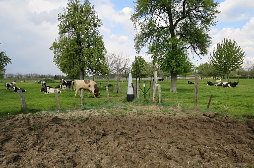 IMG_8515.jpg IMG_8515.jpg