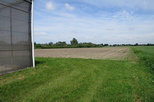 IMG_8769.jpg IMG_8769.jpg