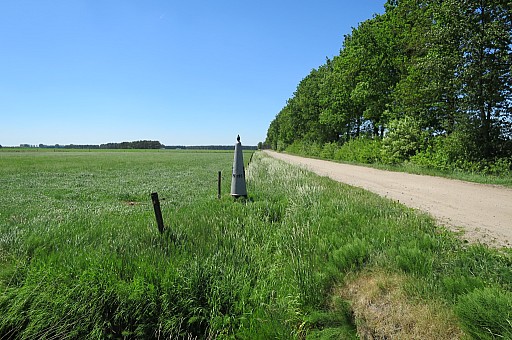 IMG_8810.jpg IMG_8810.jpg