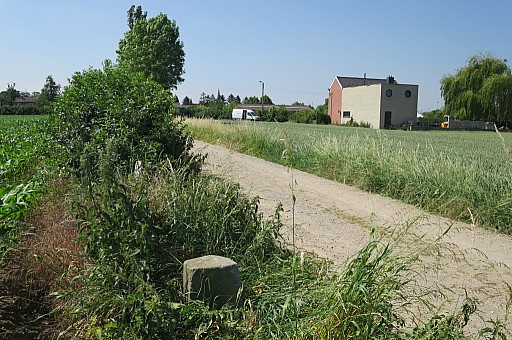 IMG_8862.jpg IMG_8862.jpg