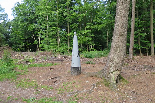 IMG_8903.jpg IMG_8903.jpg