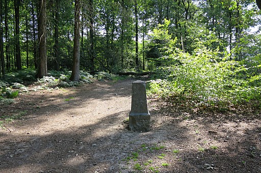 IMG_8932.jpg IMG_8932.jpg