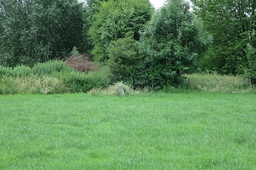 IMG_9040.jpg IMG_9040.jpg