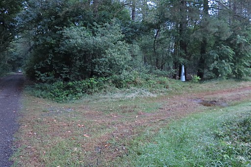 IMG_9207.jpg IMG_9207.jpg