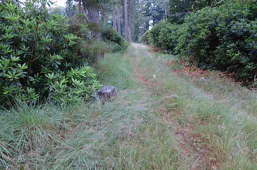 IMG_9222.jpg IMG_9222.jpg