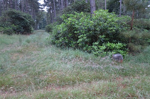 IMG_9223.jpg IMG_9223.jpg