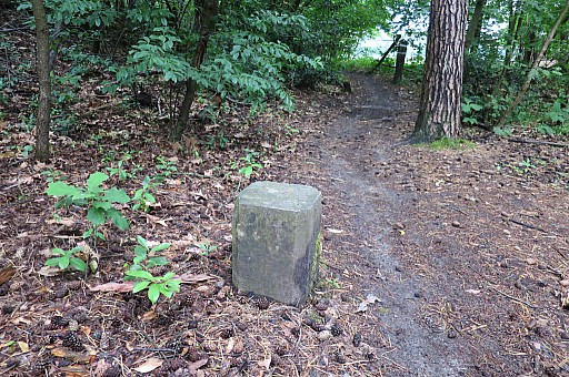 IMG_9264.jpg IMG_9264.jpg