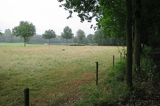 IMG_9274.jpg IMG_9274.jpg