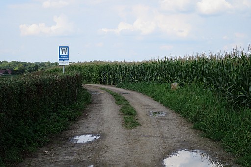 IMG_0781.jpg IMG_0781.jpg