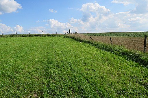 IMG_0818.jpg IMG_0818.jpg